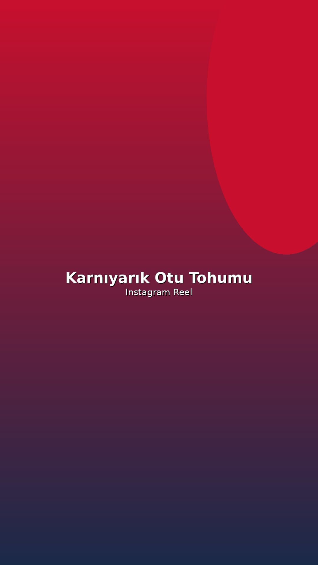 Karnıyarık Otu Tohumu